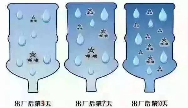 容易菌群超标